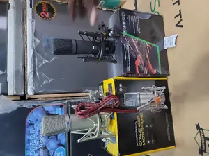 Brack and Silver Microphone Condesor