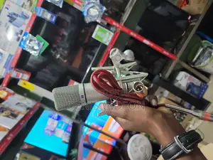 Brack and Silver Microphone Condesor