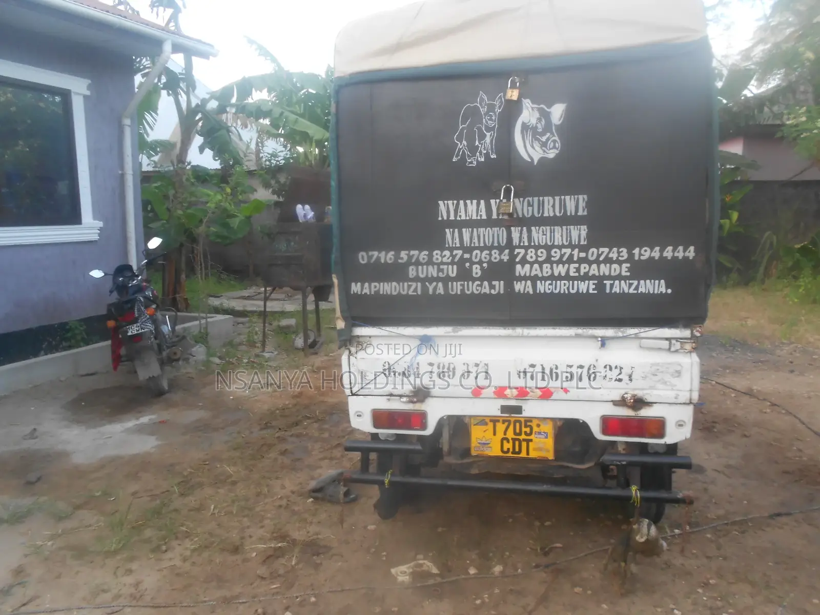 Nyama Ya Nguruwe Na Watoto Wa Nguruwe