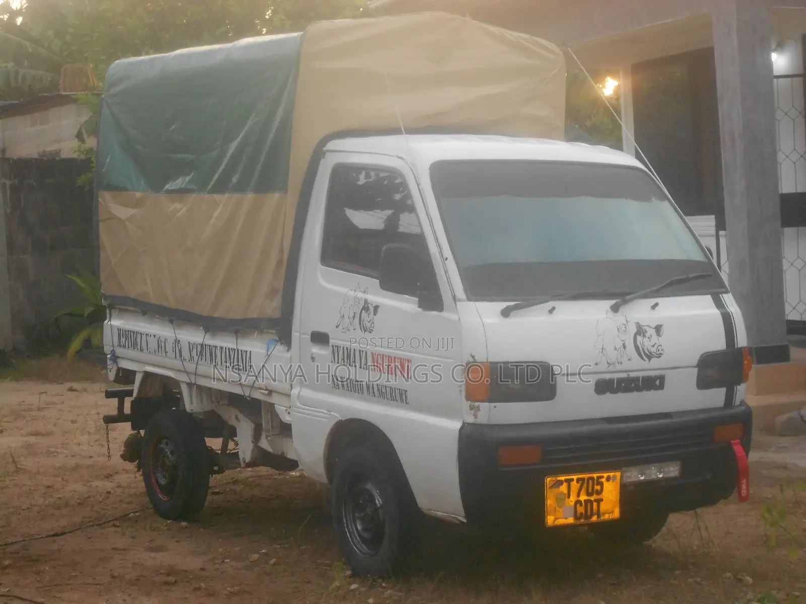 Nyama Ya Nguruwe Na Watoto Wa Nguruwe