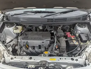 Toyota Raum 2011 Silver
