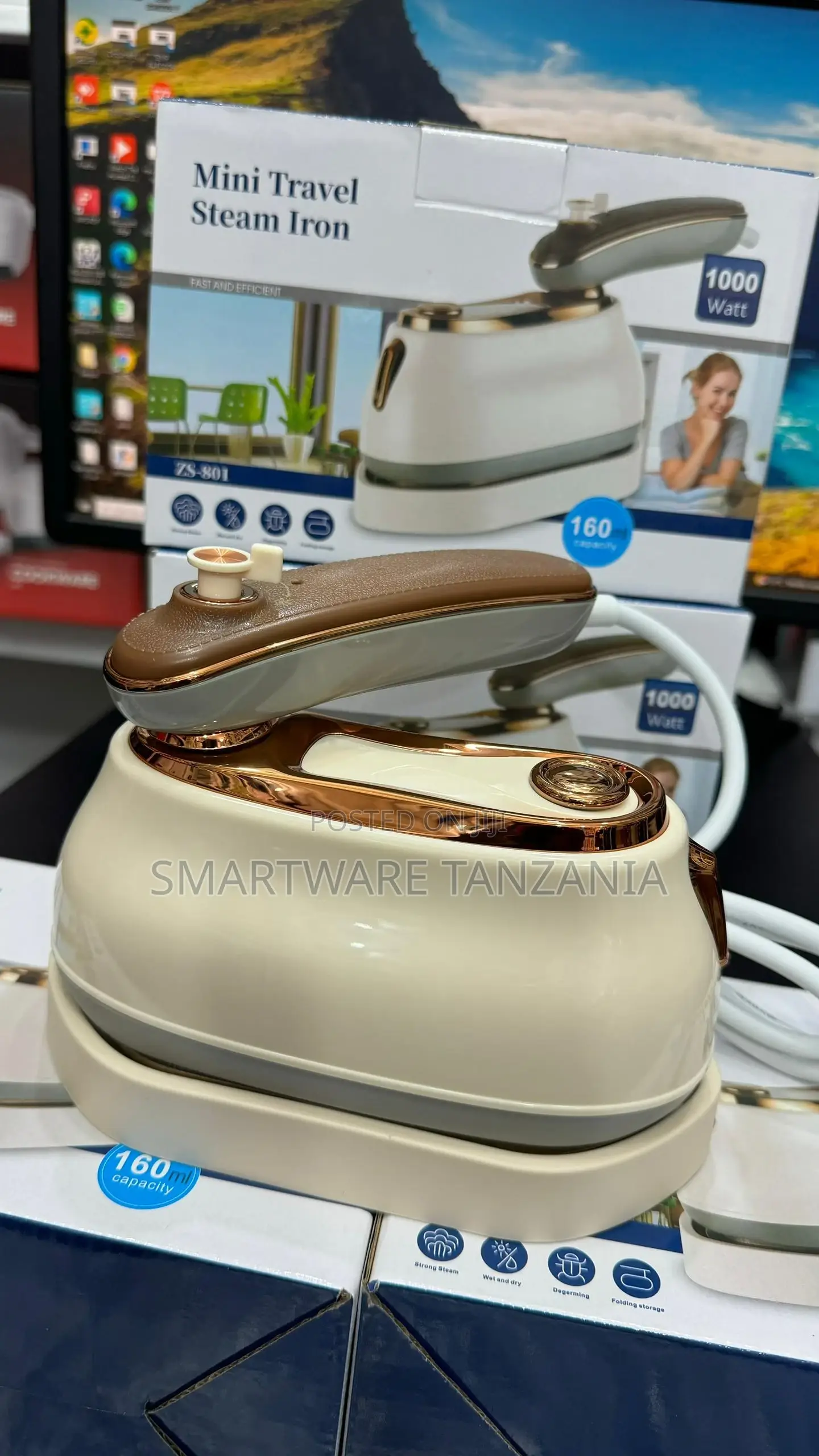 Fast Heat Mini Steamer Wet Dry Garment Iron Steam For Home