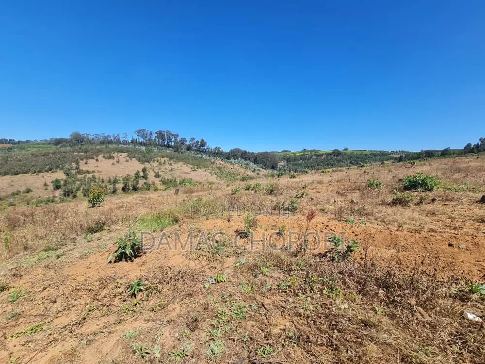 Acre 26 Zinauzwa Iringa Njombe