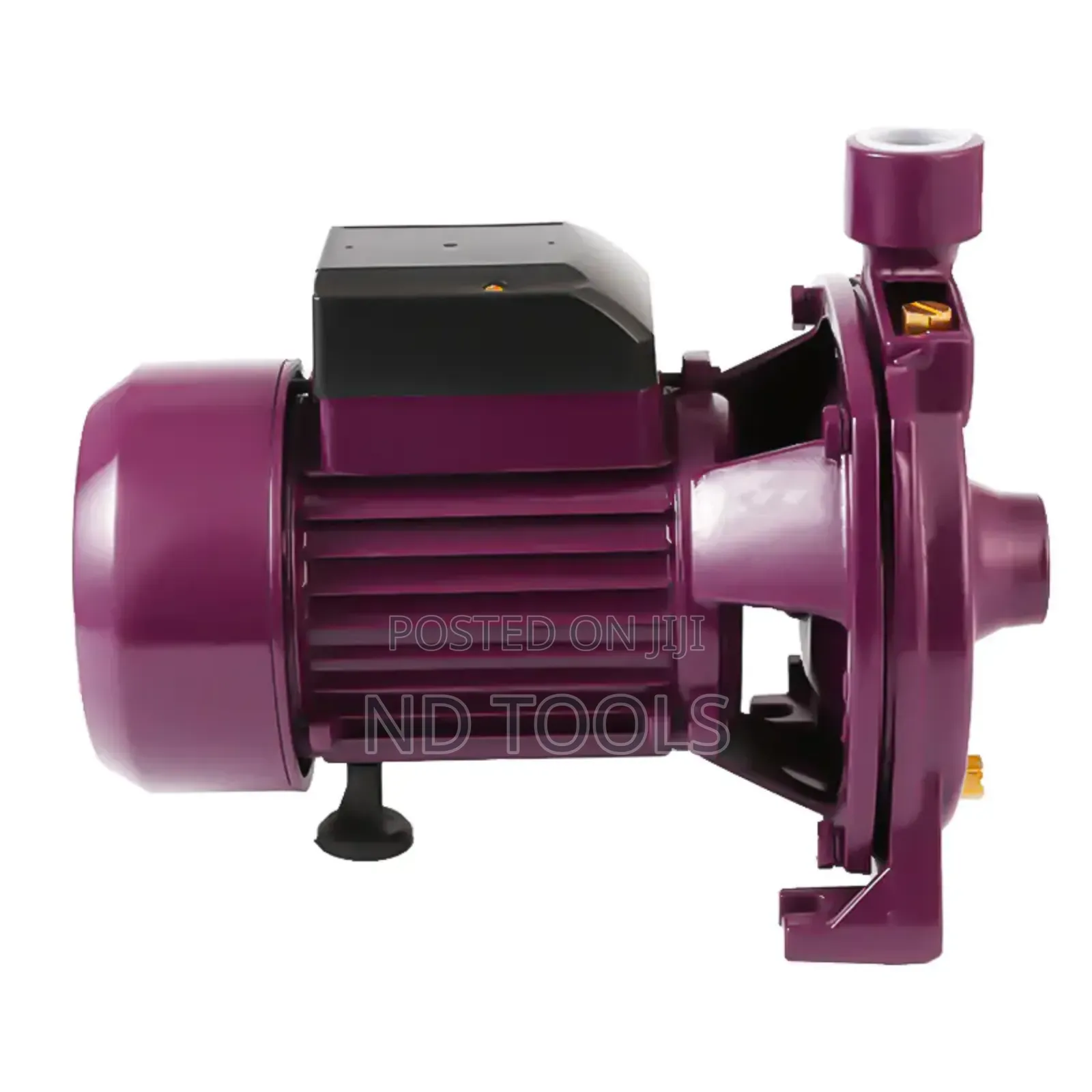 Surface Pump QB80