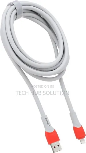 LDNIO Heavy 4m Data Cable 30W