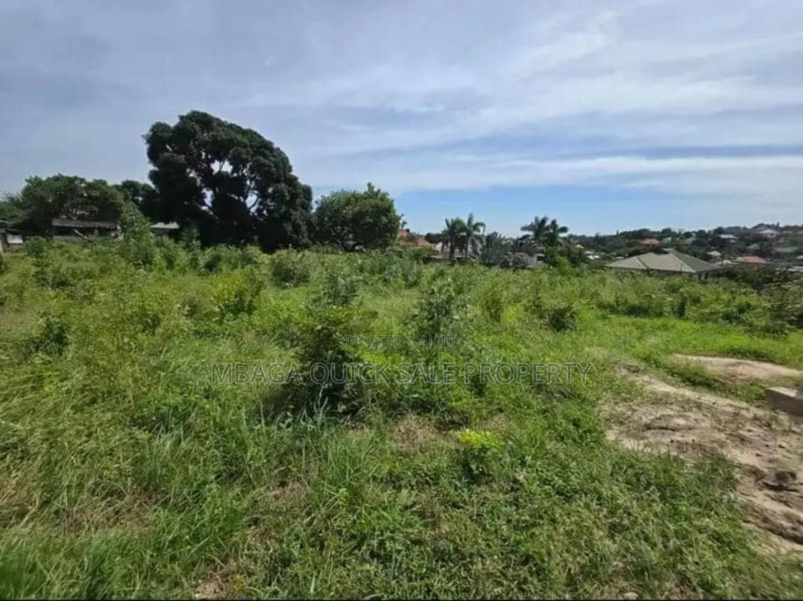Plot for Sale at Salasala, Plot With 1.5 Acres