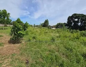 Plot for Sale at Salasala, Plot With 1.5 Acres