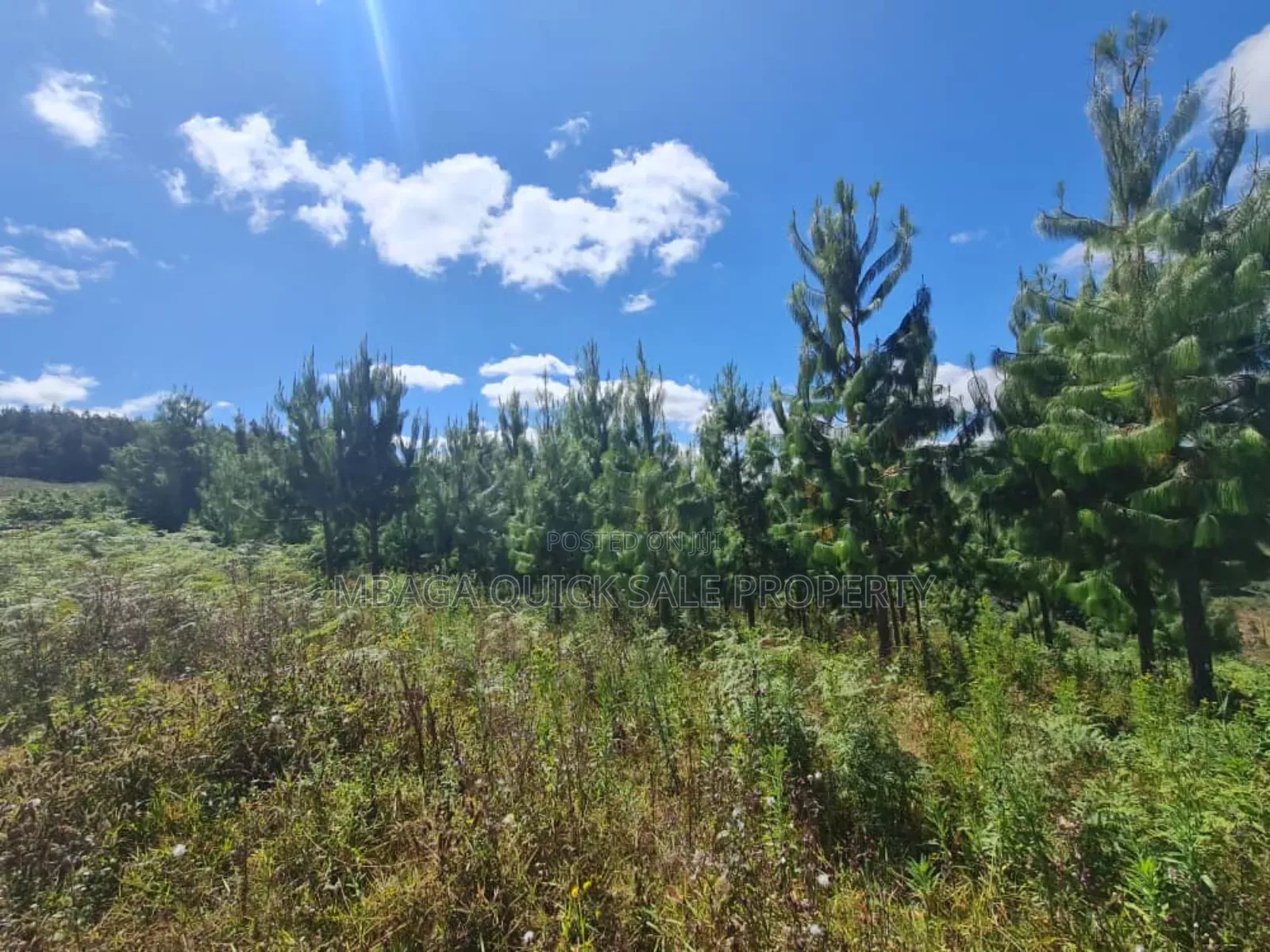 Farm for Sale at Njombe