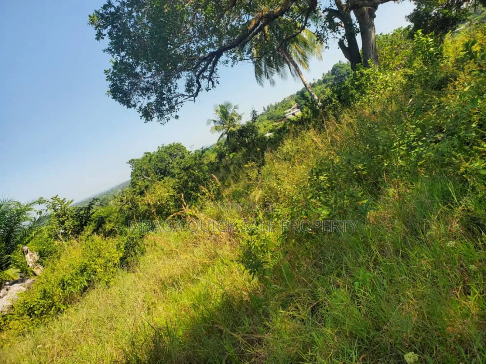 Farm for Sale at Njombe