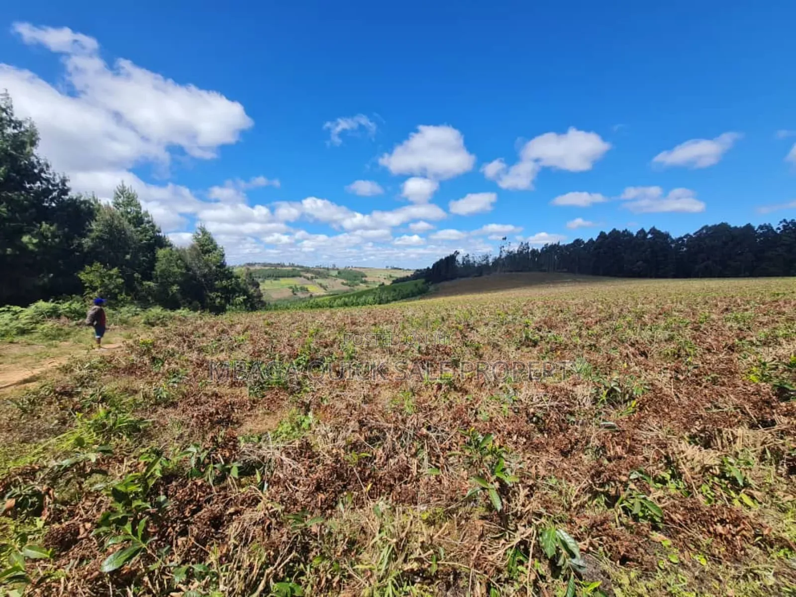 Farm for Sale at Njombe