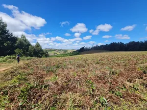 Farm for Sale at Njombe
