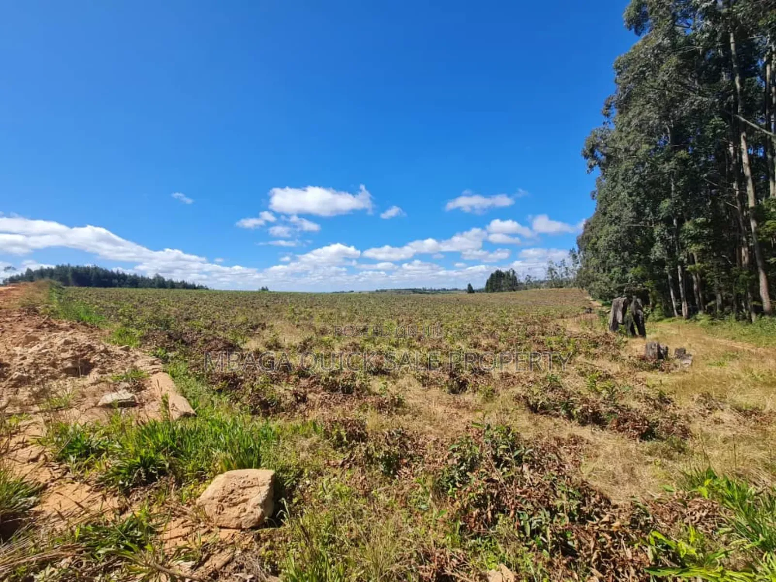 Farm for Sale at Njombe