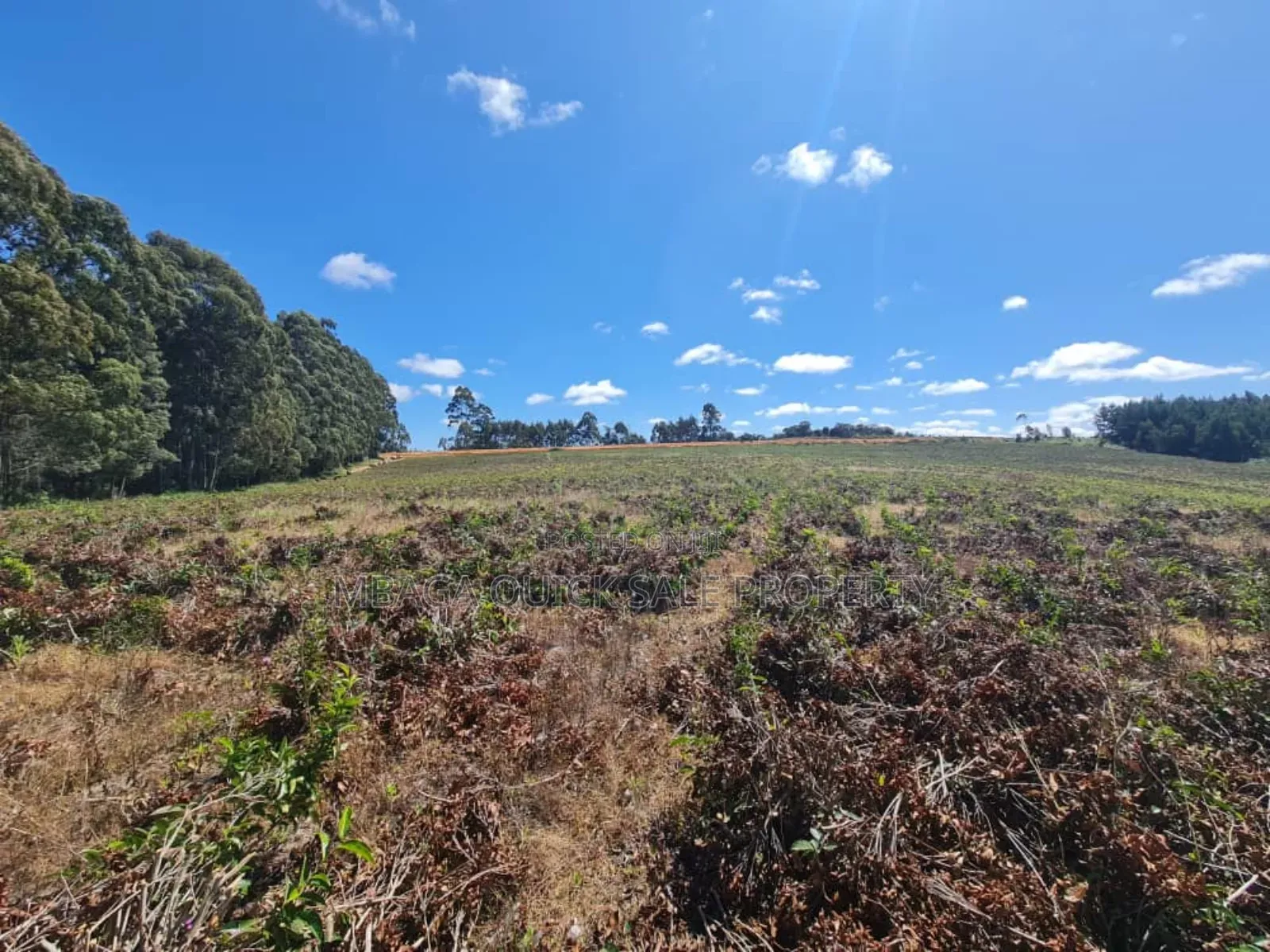 Farm for Sale at Njombe