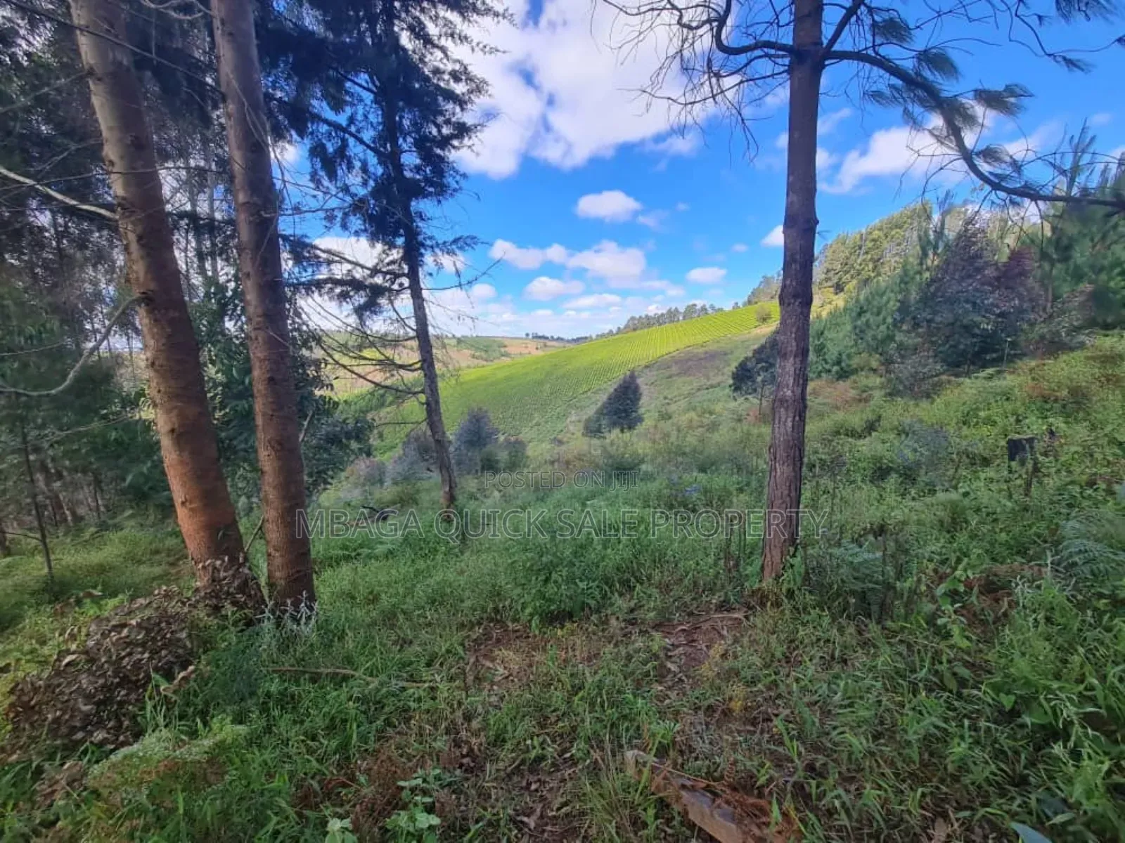 Farm for Sale at Njombe