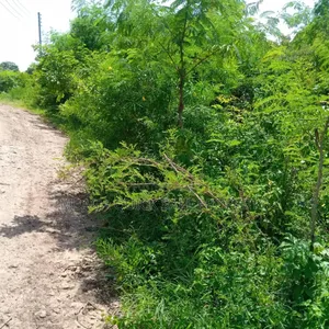 2 Plot for Sale at Kigamboni Gezaulole Juu