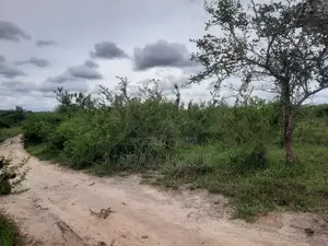Shamba La Ekari 20 Linauzwa Mwavi Fukayosi