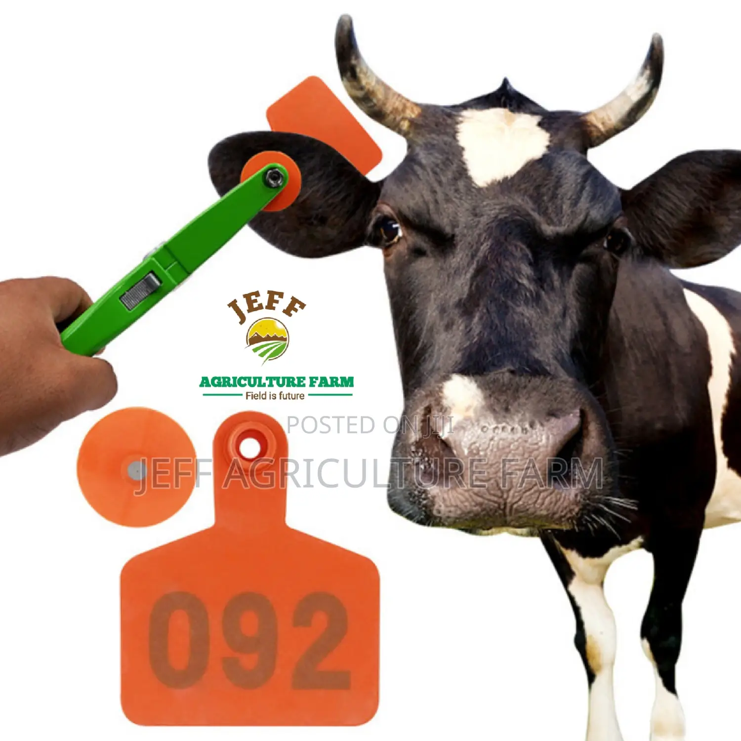 Cow,Goat and Sheep Ear Tag