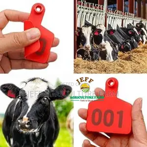 Cow,Goat and Sheep Ear Tag