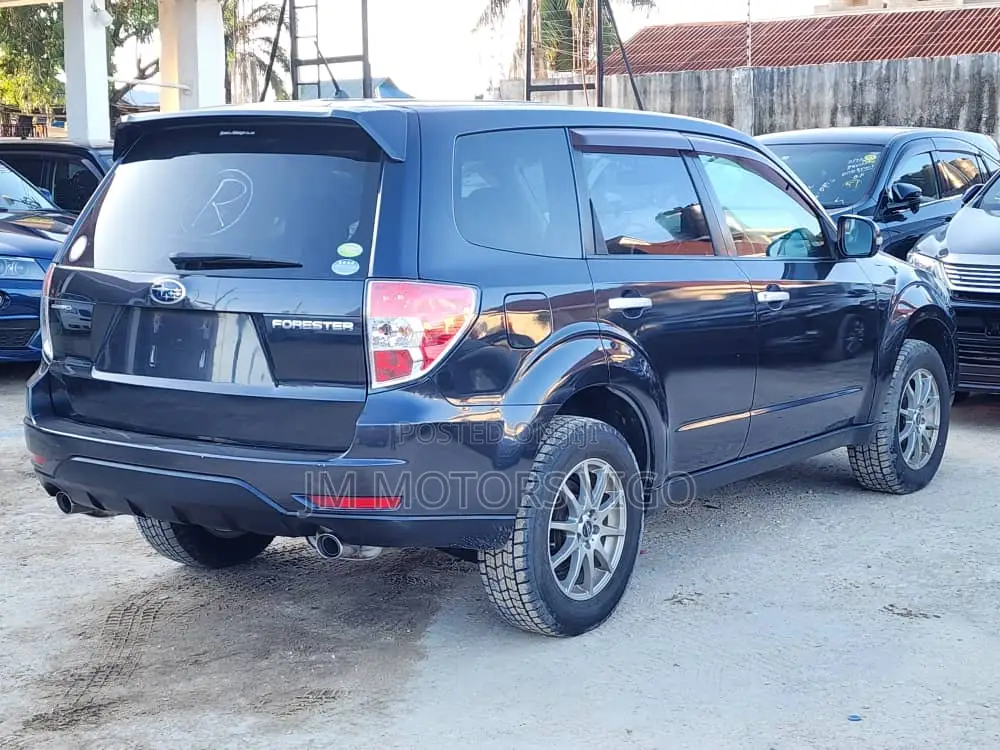 Subaru Forester 2011 Gray