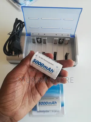 D-Size Rechargeable Battery
