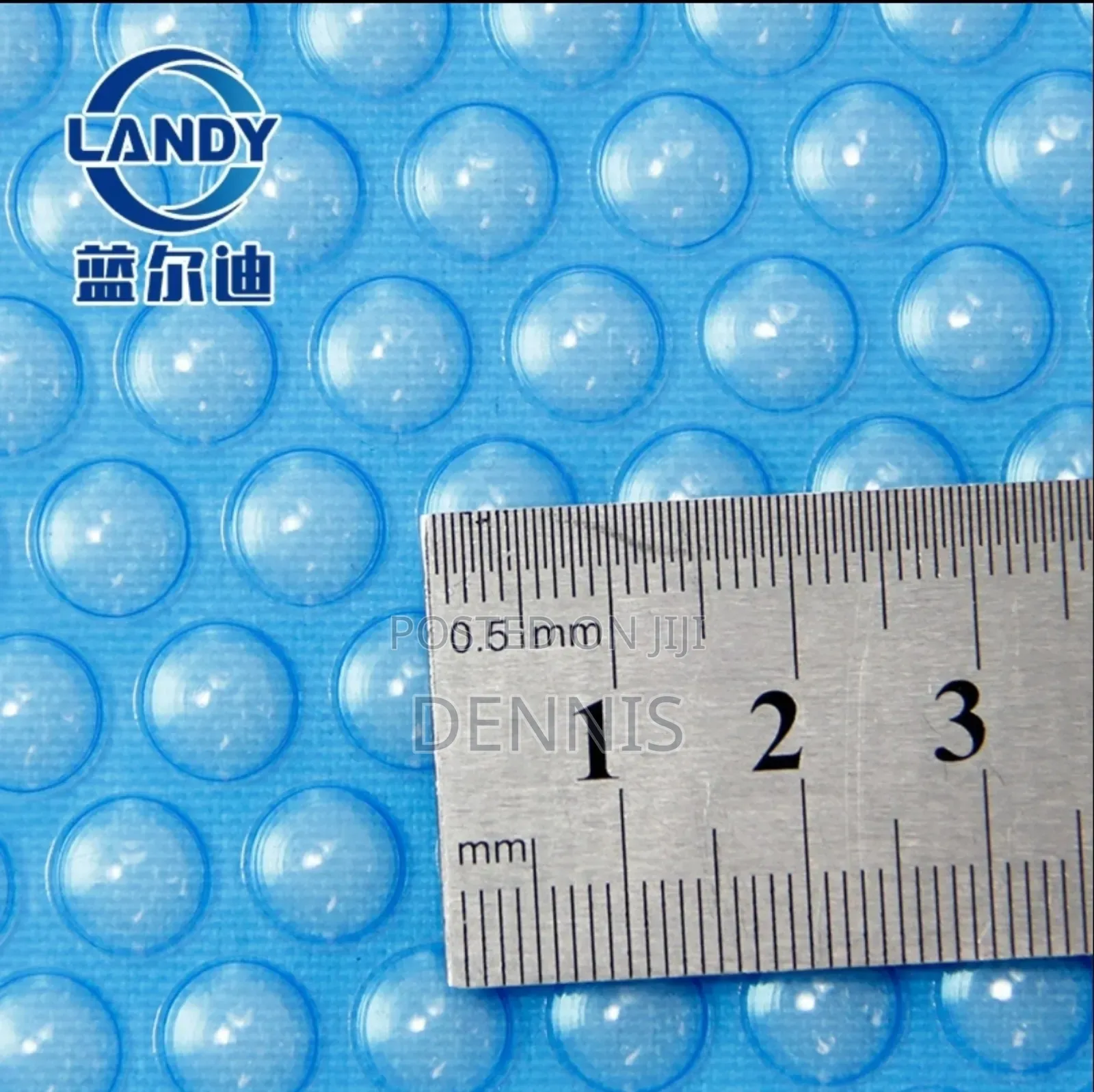 Pool Cover