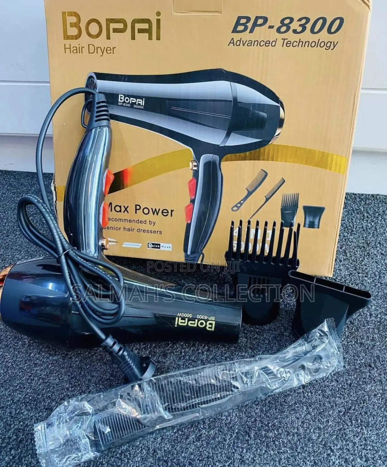 Professional Hair Dryer