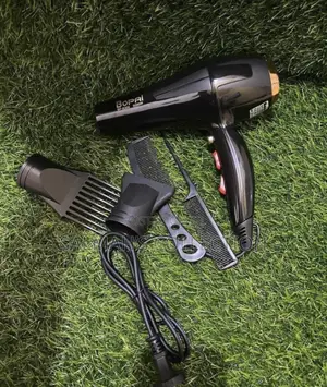 Professional Hair Dryer