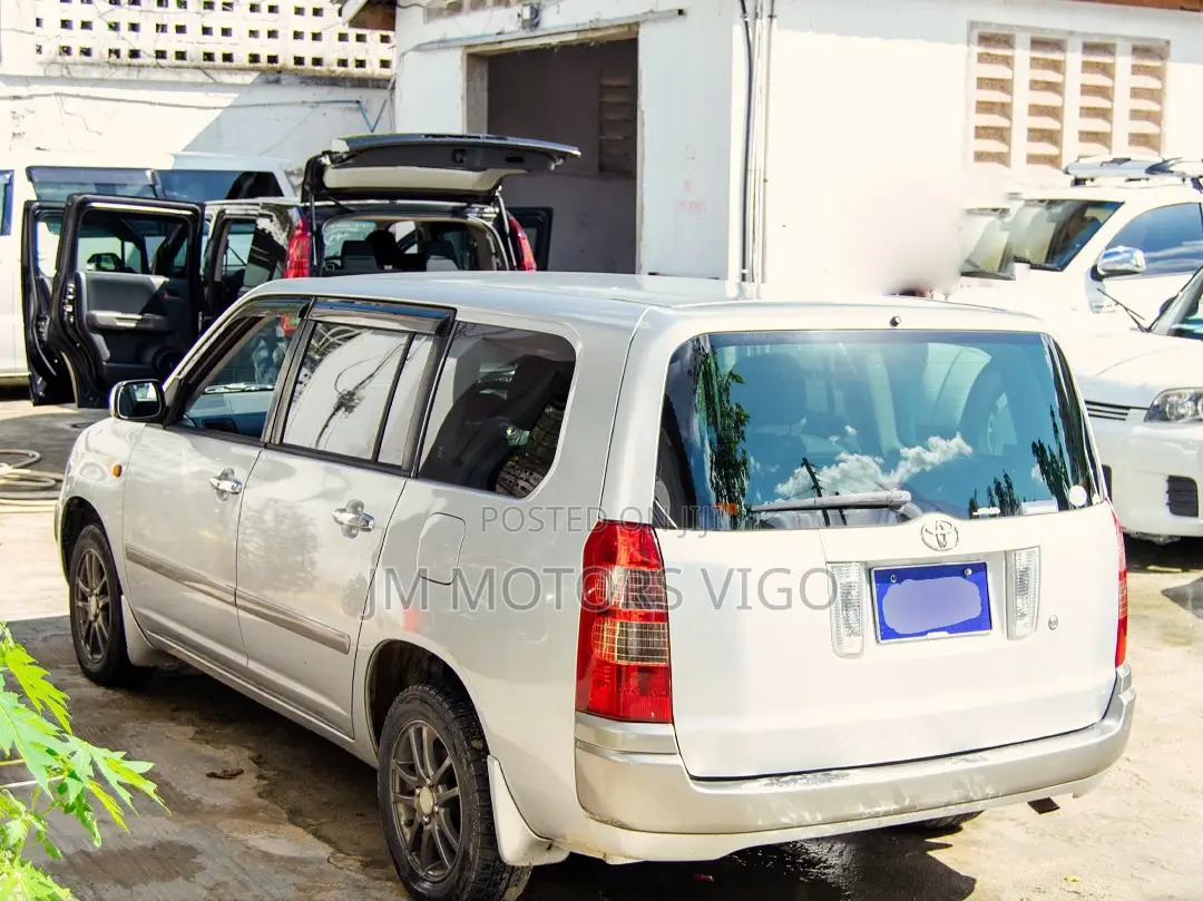 Toyota Probox 1.5 GL 4WD 2005 Silver