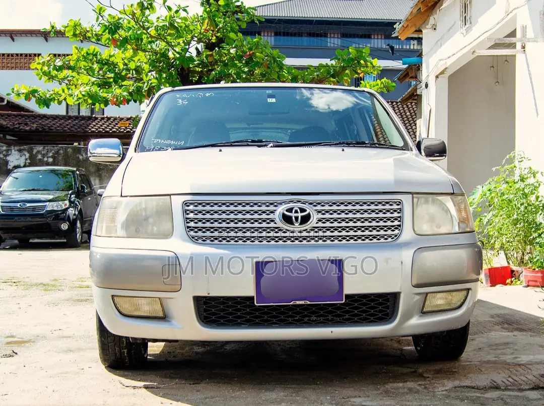Toyota Probox 1.5 GL 4WD 2005 Silver