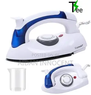 Travel Steam Iron _Mini-Pasi