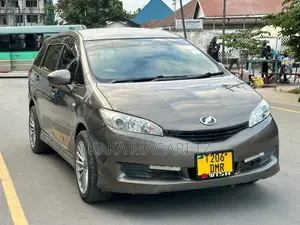 Toyota Wish 2010 Gray