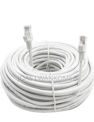 Cat 6 Ethernet Cables (100M).
