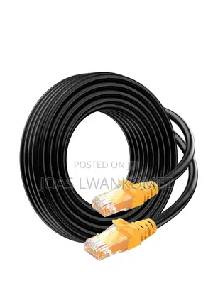 Cat 6 Ethernet Cables (100M).