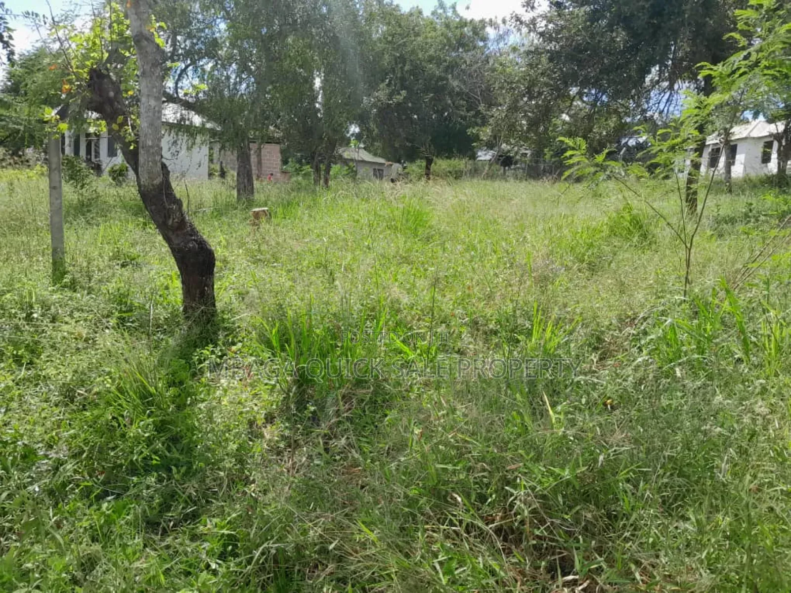6bdrm House in Africana, Mbezi Beach for rent