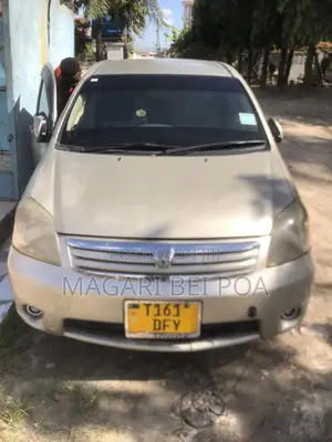 Toyota Raum 2007 Silver