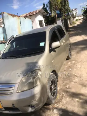 Toyota Raum 2007 Silver