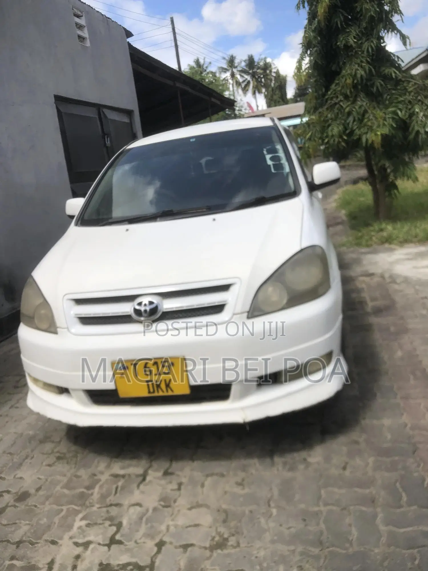 Toyota Ipsum 2001 White