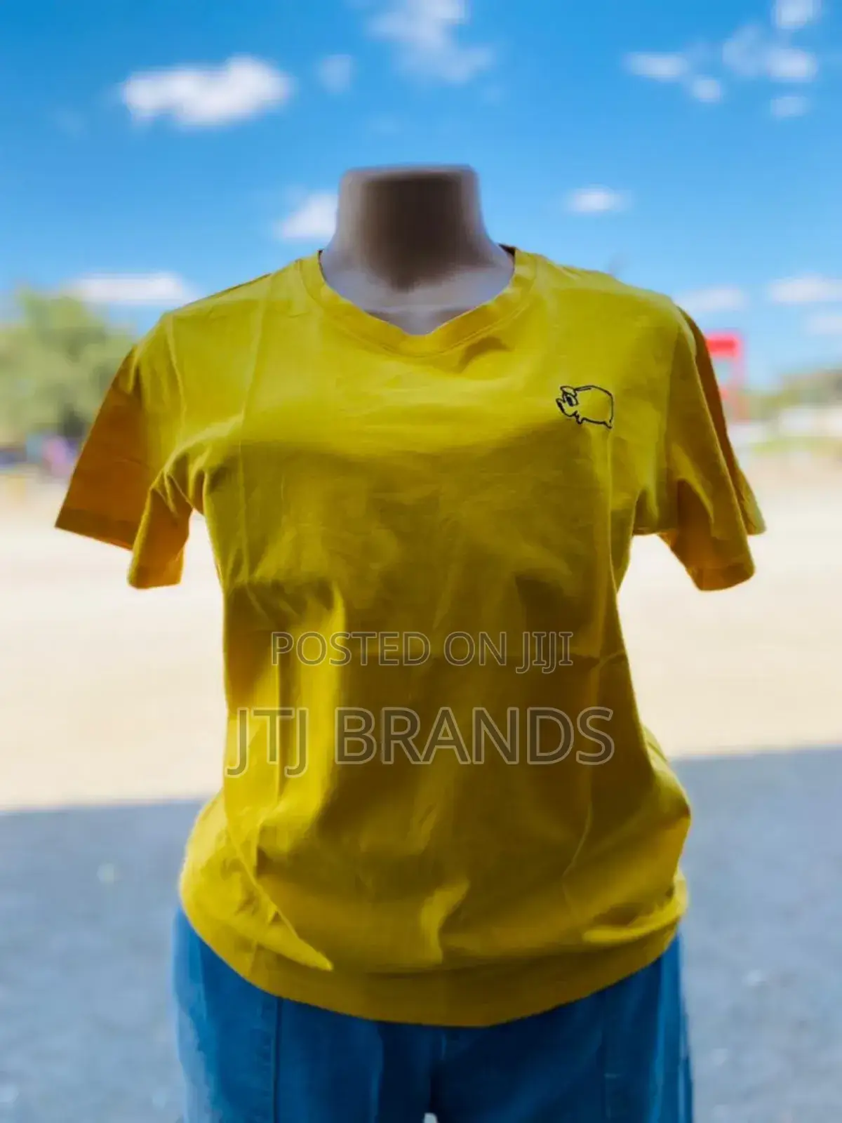 Female T- Shirts