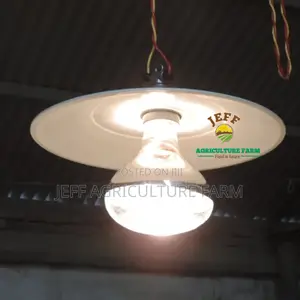 Taa Za Joto Kwa Vifaranga Aina Zote