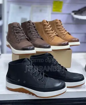 Best Male's Shoes