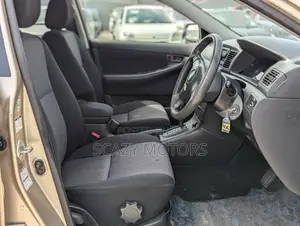 Toyota Corolla RunX 2004 Gold
