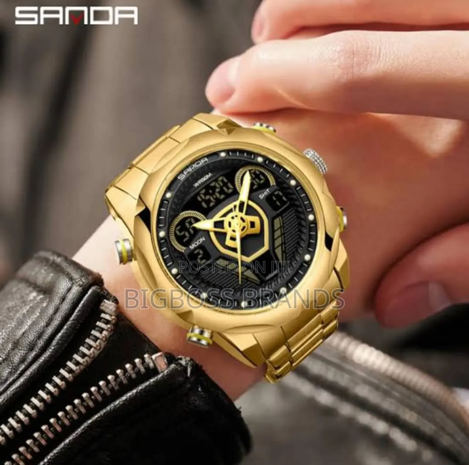 Sanda Watch Digital and Analogy