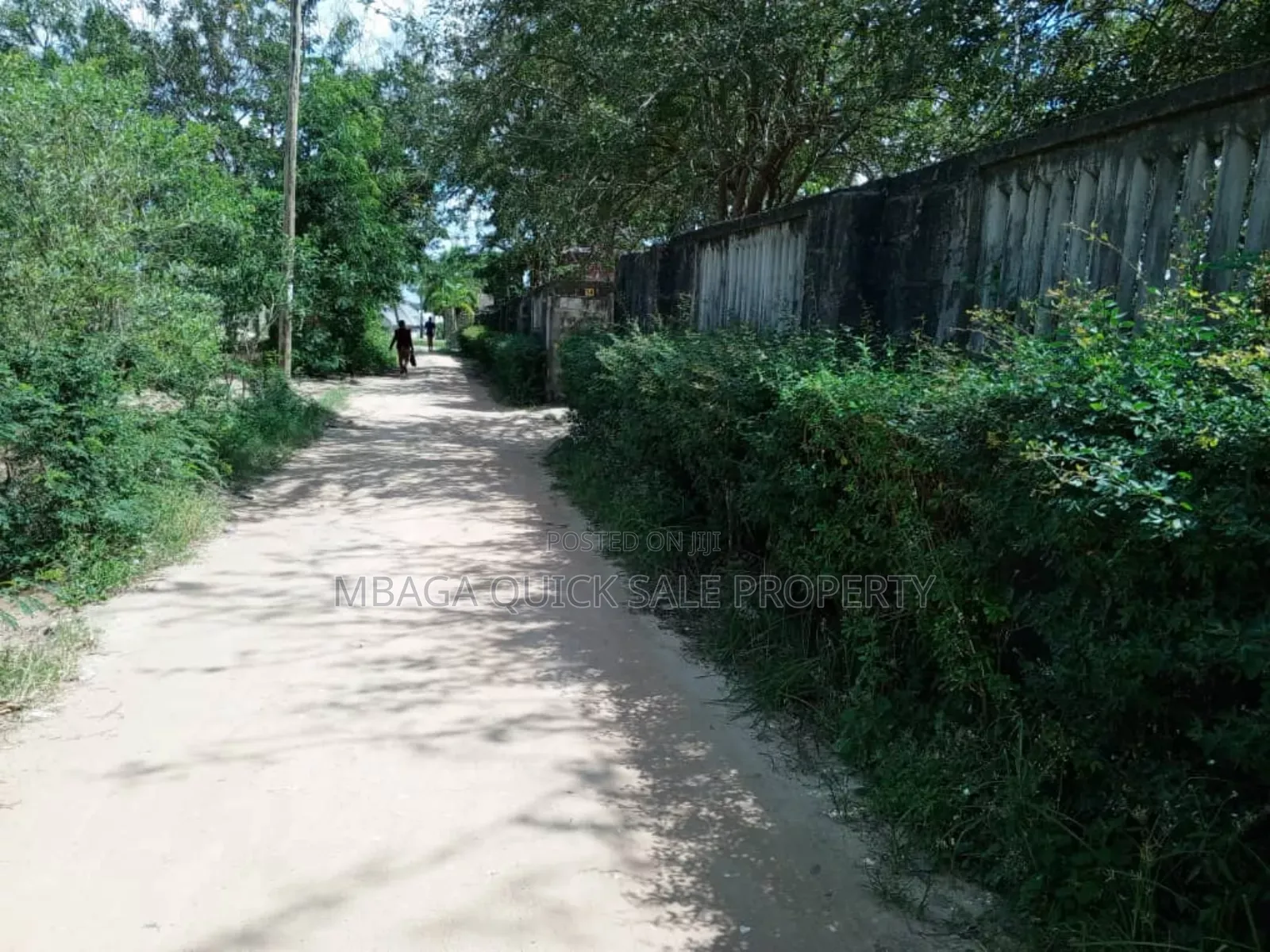 2bdrm Farm House in Kibamba Mwisho for rent