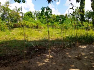 2bdrm Farm House in Kibamba Mwisho for rent