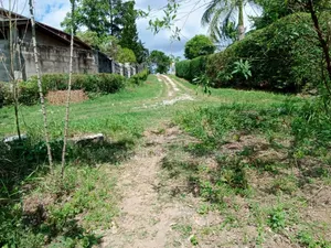 2bdrm Farm House in Kibamba Mwisho for rent