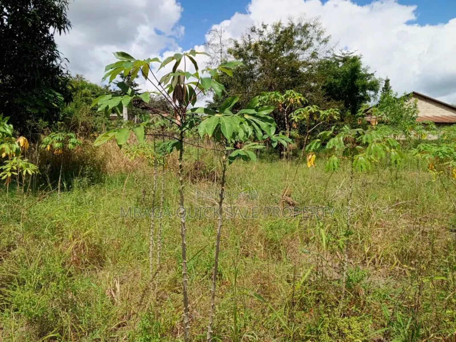 2bdrm Farm House in Kibamba Mwisho for rent