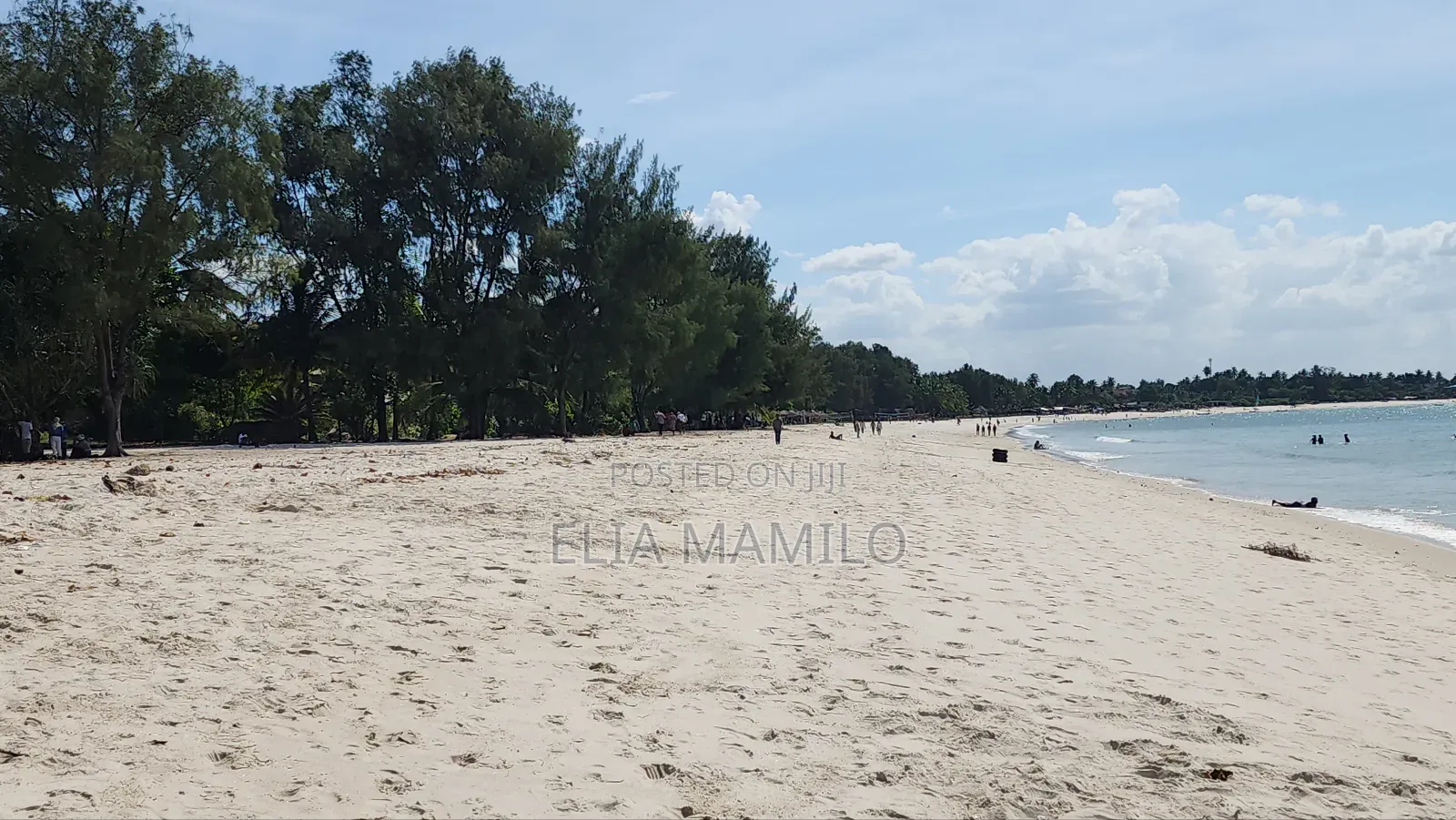 14 Acres Beach Plot and Two Houses for Sale in Dar ES Salaam
