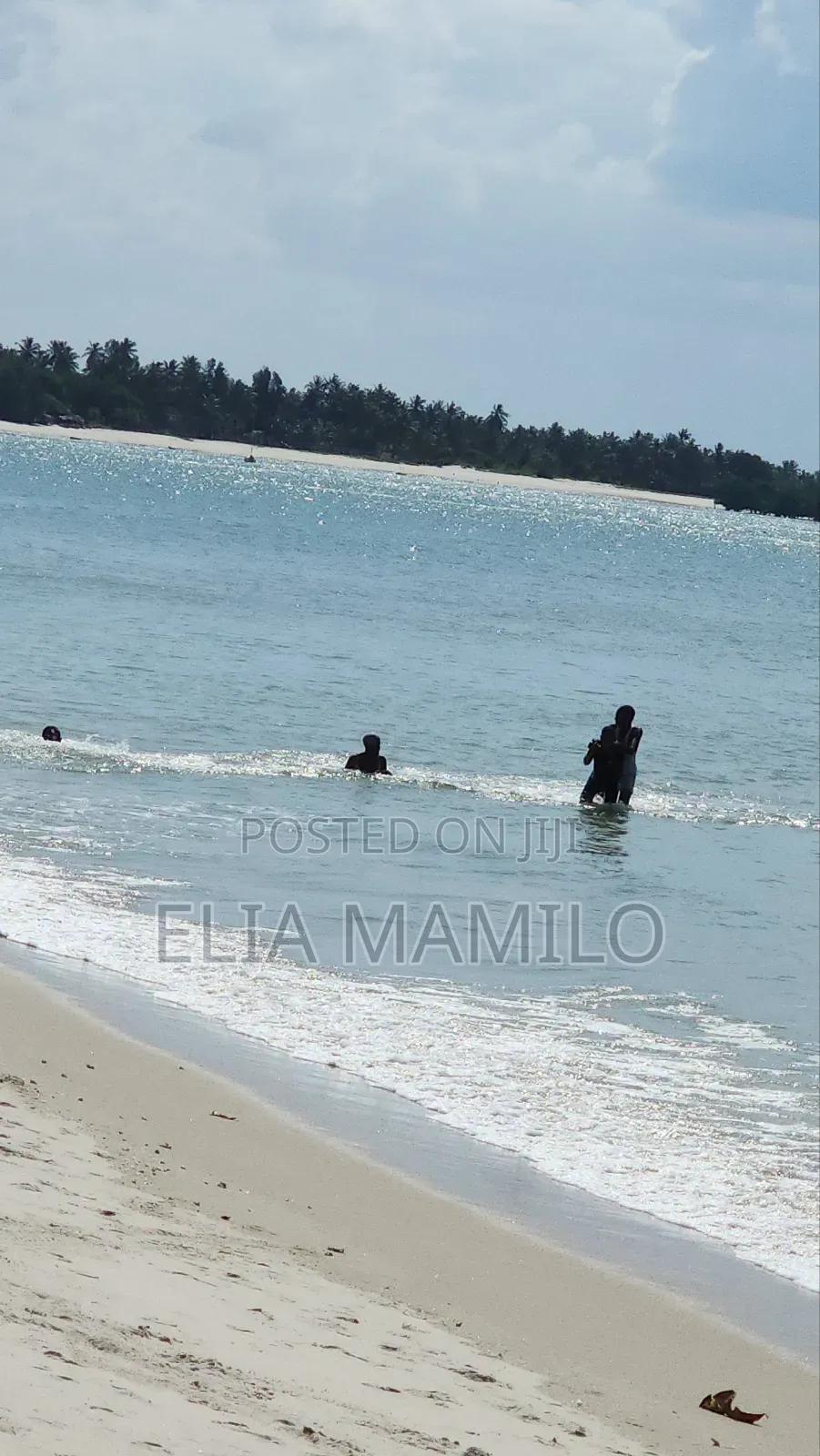 14 Acres Beach Plot and Two Houses for Sale in Dar ES Salaam