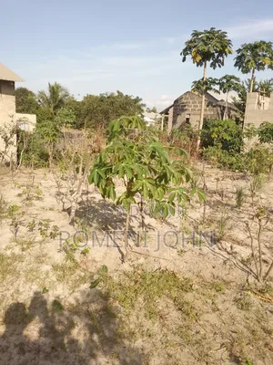 Kiwanja Sqmita 300 Kinauzwa Milioni 3.7 Ukonga Bombambili.
