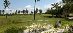 Beach Plot for Sale at Bagamoyo Next Sadan National Park